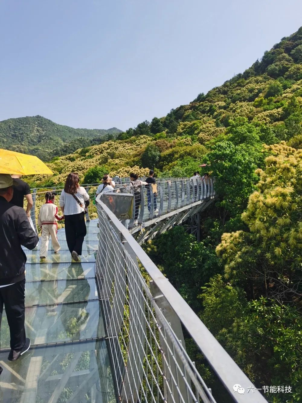 五·一酬“劳”‖公司组织优秀员工假期旅游