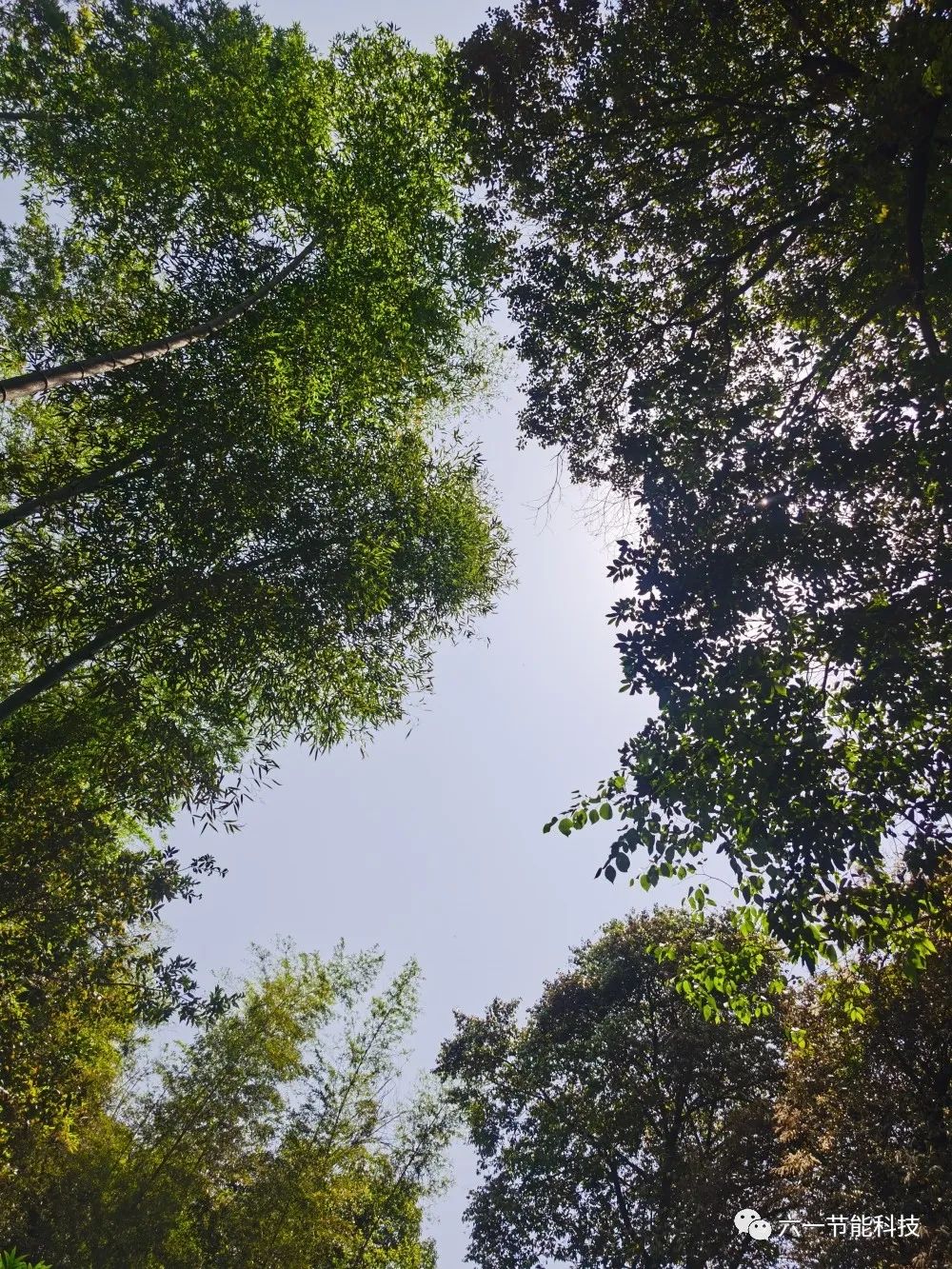 五·一酬“劳”‖公司组织优秀员工假期旅游