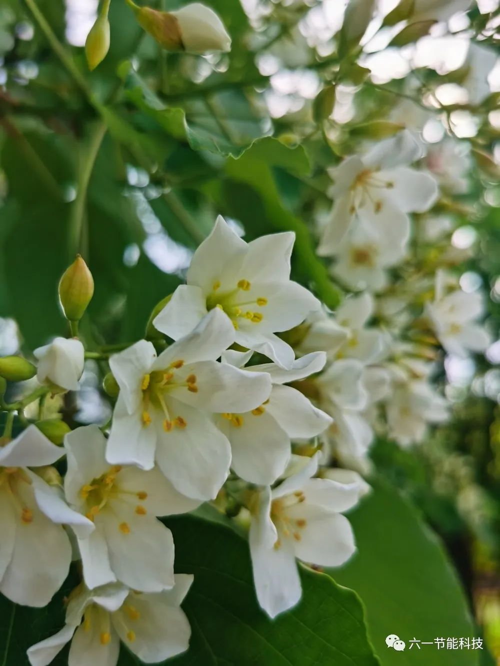 五·一酬“劳”‖公司组织优秀员工假期旅游